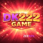 DK222 Game
